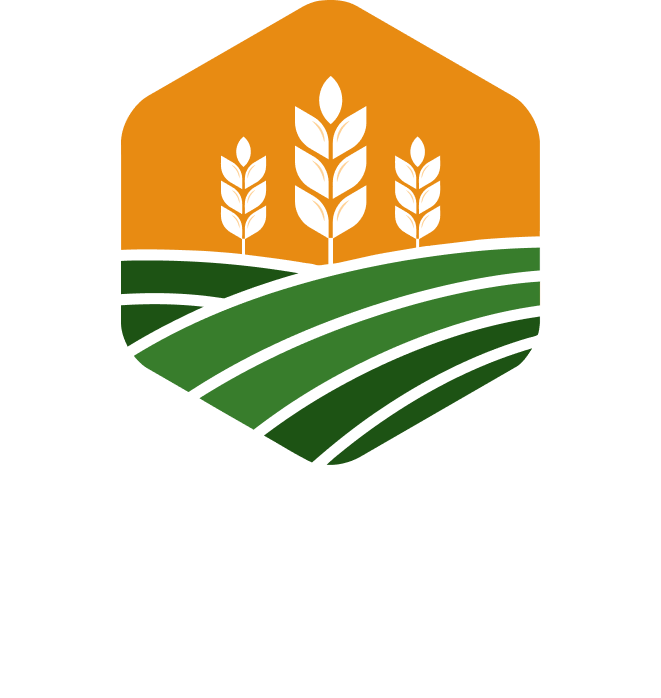 finegroup compapny logo